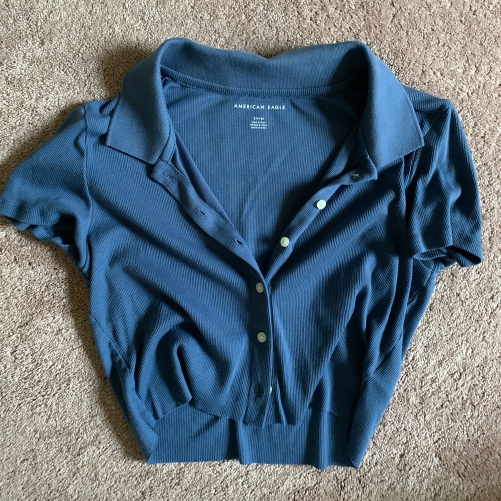 American Eagle Outfitters Blue Crop Top